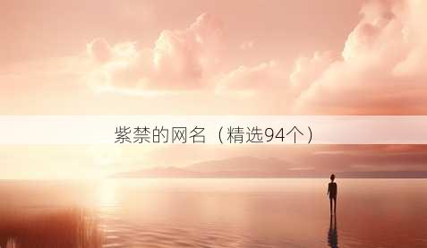 紫禁的昵称