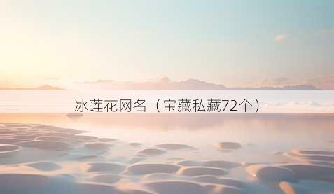 冰莲花昵称