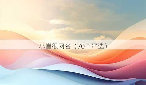 小崔很昵称