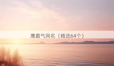 鹰霸气昵称