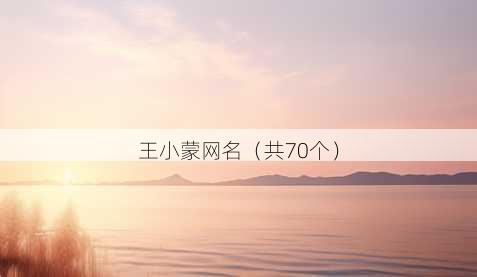 王小蒙昵称