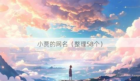 小贾的昵称