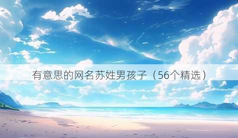 有意思的昵称苏姓男孩子