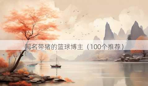 昵称带猪的篮球博主