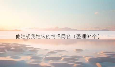 他姓胡我姓宋的情侣昵称