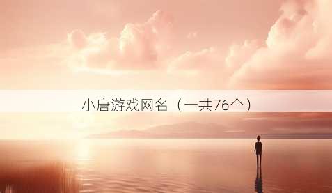 小唐游戏昵称