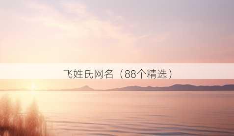 飞姓氏昵称