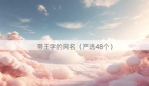 带王字的昵称