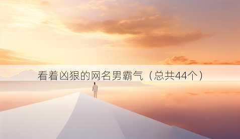 看着凶狠的昵称男霸气