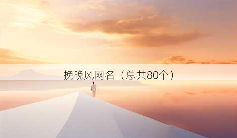 挽晚风昵称