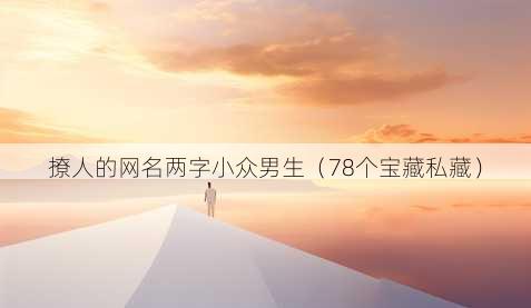 撩人的昵称两字小众男生