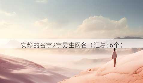 安静的名字2字男生昵称