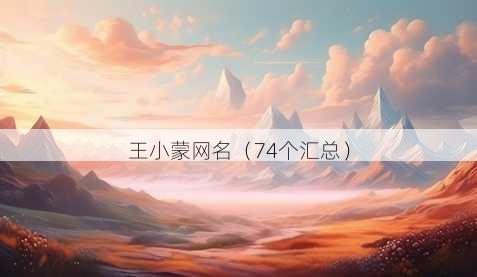 王小蒙昵称