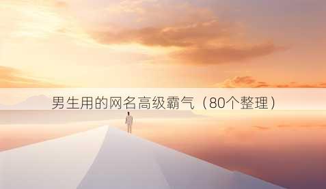 男生用的昵称高级霸气