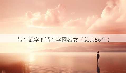 带有武字的谐音字昵称女
