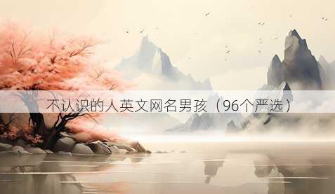 不认识的人英文昵称男孩