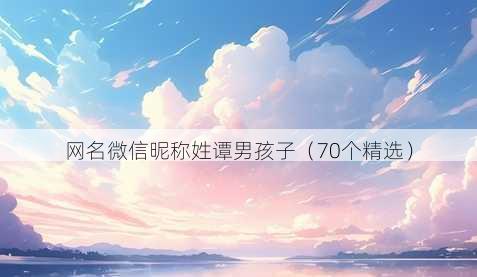 昵称微信昵称姓谭男孩子
