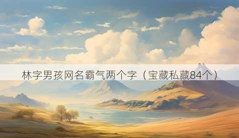 林字男孩昵称霸气两个字