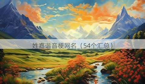 姓嘉谐音梗昵称