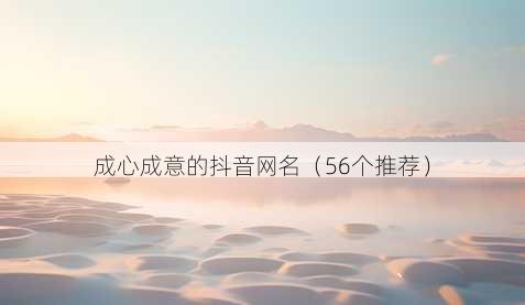 成心成意的抖音昵称